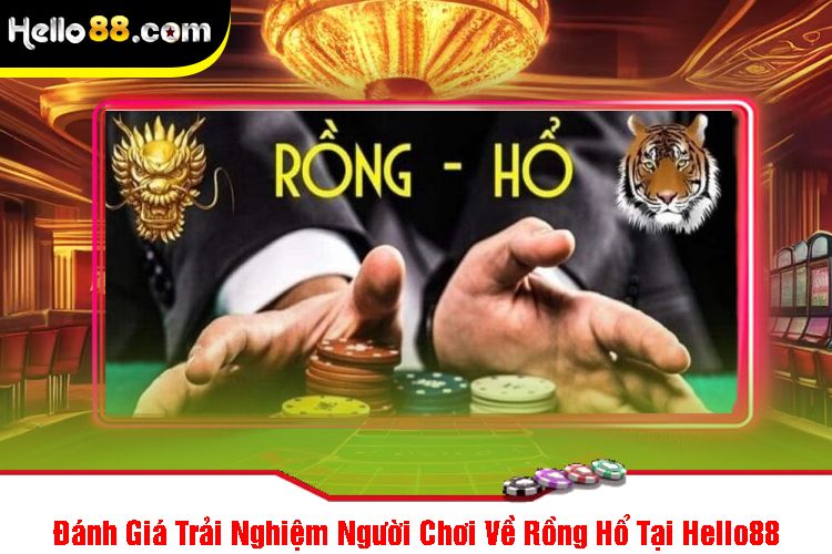 Đánh Giá Trải Nghiệm Người Chơi Về Rồng Hổ Tại Hello88