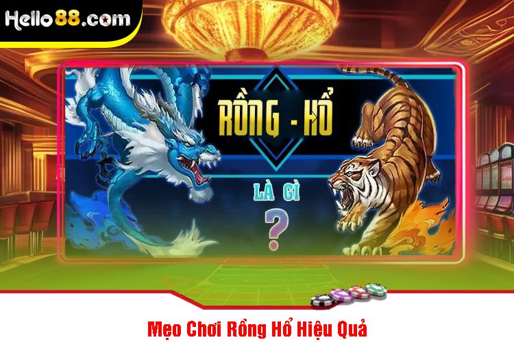 Mẹo Chơi Rồng Hổ Hiệu Quả