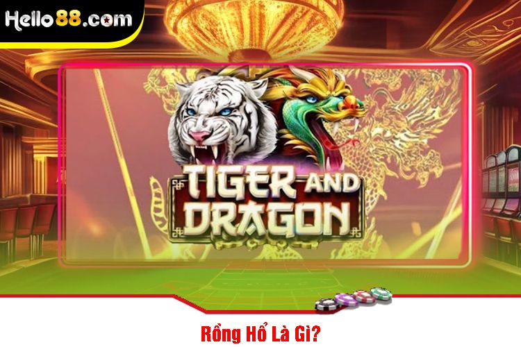 Rồng Hổ Là Gì